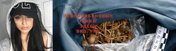 молекула духа Верхний Тагил