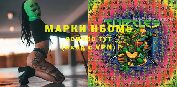 молекула духа Верхний Тагил
