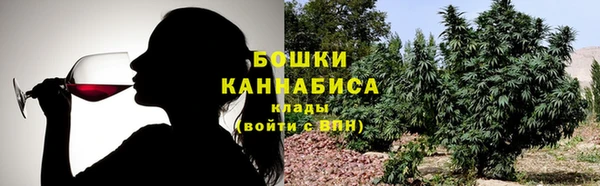 молекула духа Верхний Тагил