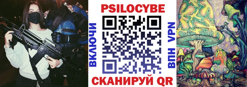 где найти   Гай  Псилоцибиновые грибы Psilocybine cubensis 